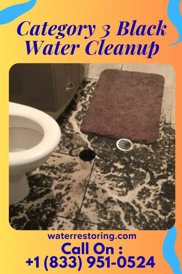 Category 3 Black Water Cleanup in Mariaville Lake, NY