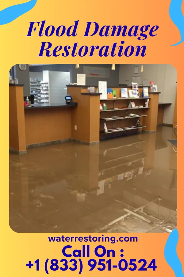 Flood Damage Restoration in Mariaville Lake, NY