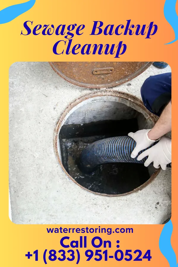 Sewage Backup Cleanup in Mariaville Lake, NY