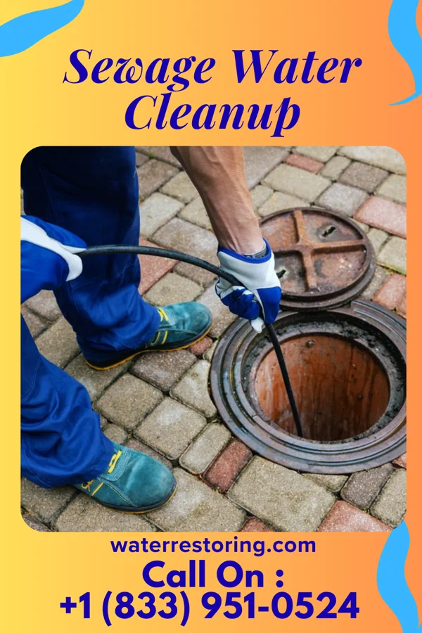 Sewage Water Cleanup in Mariaville Lake, NY